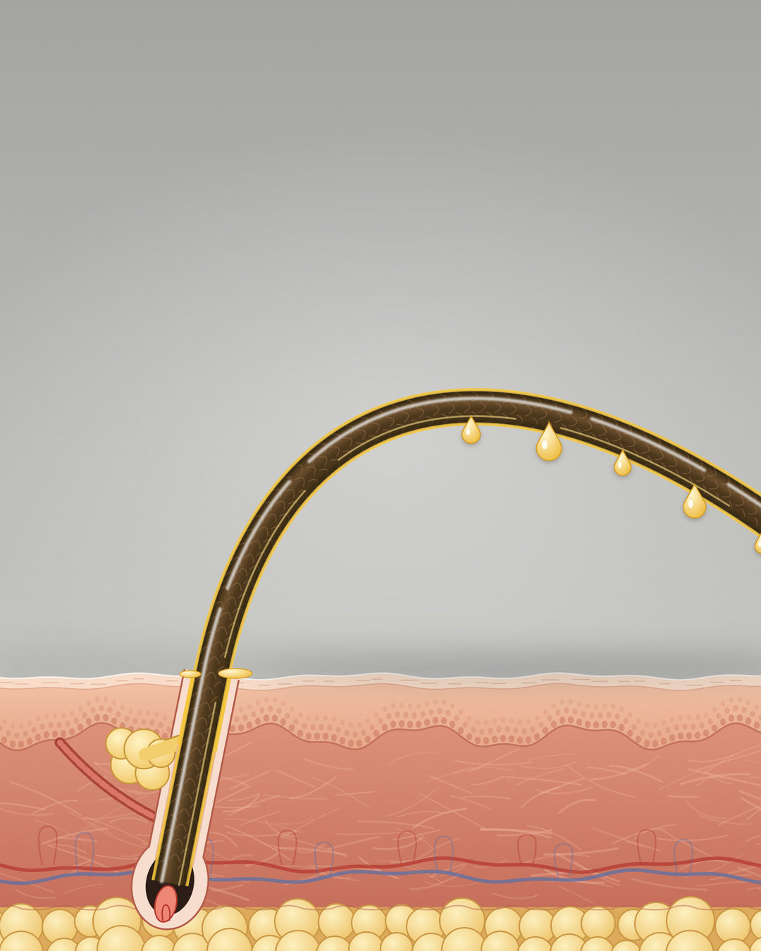 OIL WEIGHS HAIR DOWN