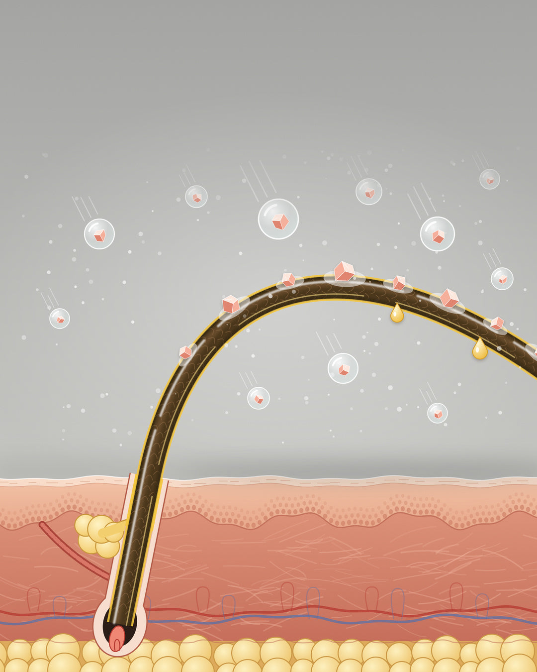 SALT PARTICLES ATTACH